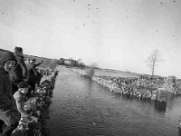 Flooding of bridge in Garrymore. - Lyons0001266.jpg  Flooding of bridge in Garrymore : Flooding, Garrymore