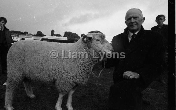 Ballinrobe show