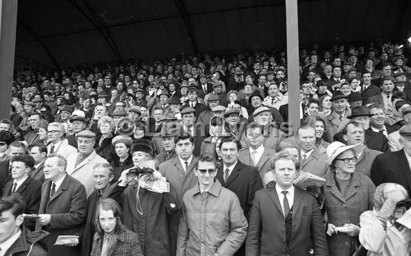 Ballinrobe Races