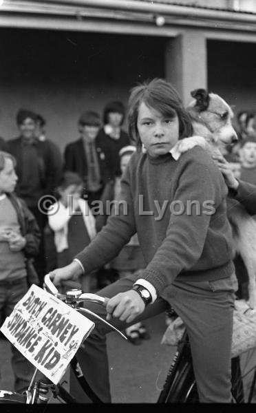 Coillte at home Kiltimagh Carnival