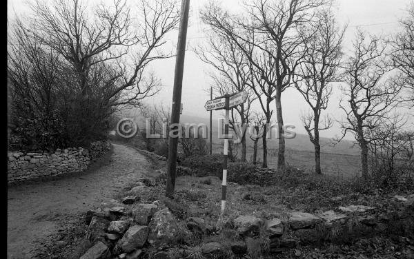 Two houses at the Reek for the Sunday Independent