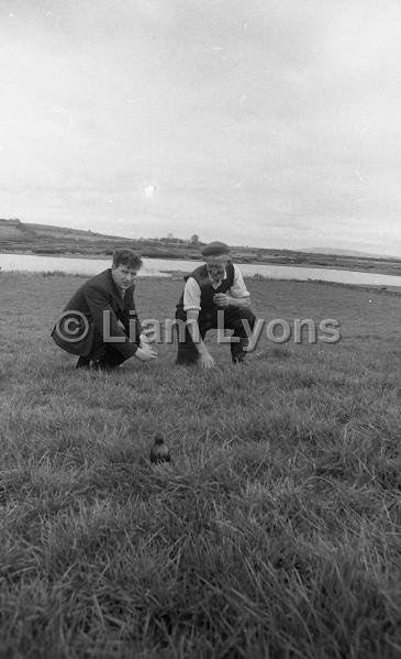 Early grass for Donie Murphy