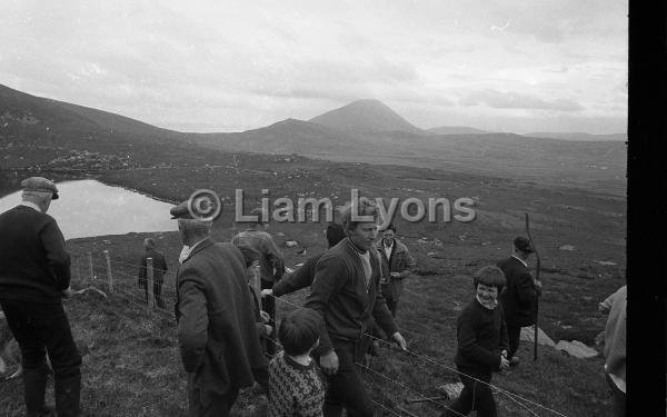 Fencing in the mountains in Achill