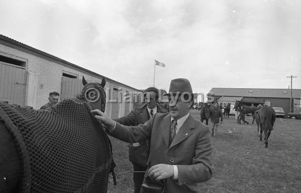 Ballinrobe Races