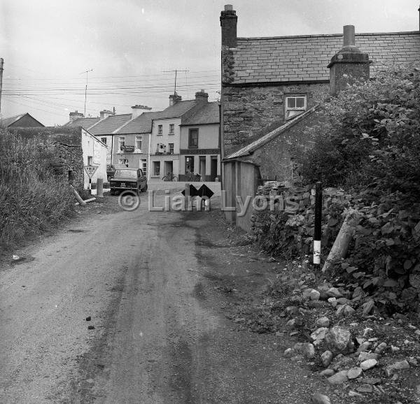 Houses in Newport