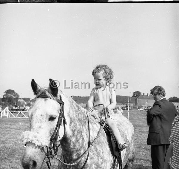 Crossmolina Horseshow