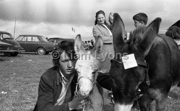 Claremorris Show