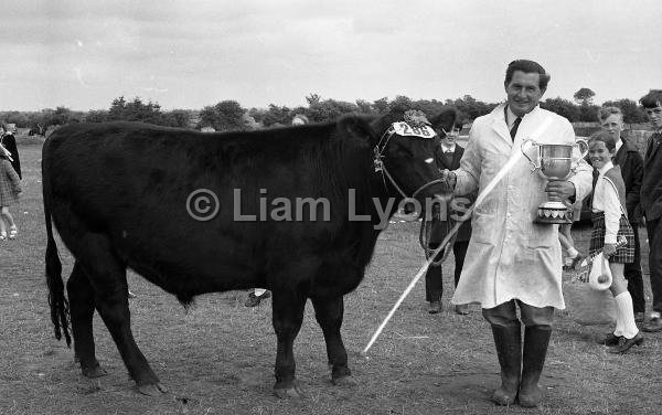 Claremorris Show