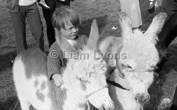 Claremorris Show