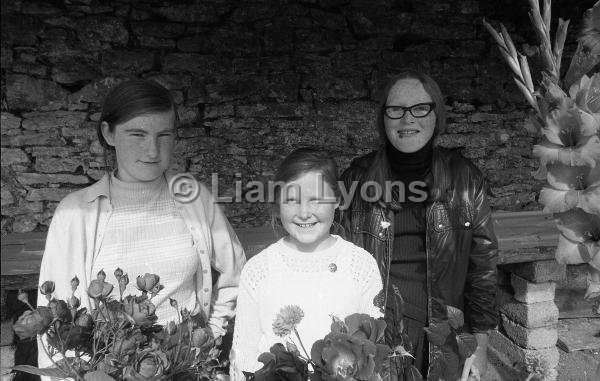 Ballinrobe Show