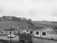 Webb's Meat Factory Ballyhaunis - Lyons0001515.jpg  Webb's Meat Factory Ballyhaunis for sale : Ballyhaunis, Webb's Meat Factory