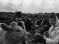 Ballina show August 1970 - Lyons0001760.jpg  Ballina show August 1970 : Ballina show