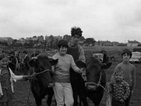 Ballina show August 1970 - Lyons0001763.jpg  Ballina show August 1970 : Ballina show