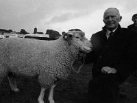 Ballinrobe show - Lyons0001805.jpg  Ballinrobe show ( for the Irish Independent ) : Ballinrobe show