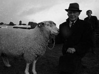 Ballinrobe show - Lyons0001809.jpg  Ballinrobe show ( for the Irish Independent ) : Ballinrobe show