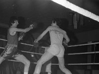 Boxing Tournament in the Royal Ballroom - Lyons0002468.jpg  Boxing Tournament in the Royal Ballroom : Boxing
