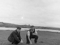 Early grass for Donie Murphy - Lyons0002480.jpg  Early grass for Donie Murphy : Murphy