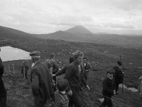 Fencing in the mountains in Achill - Lyons0002601.jpg  Fencing in the mountains in Achill : Achill