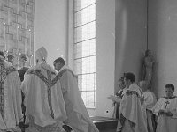 Ordination of Fr Michael Treacey - Lyons0002610.jpg  Ordination of Fr Michael Treacey : Ordination, Treacy