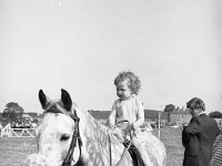 Crossmolina Horseshow - Lyons0002675.jpg  Crossmolina Horseshow : Crossmolina Horseshow