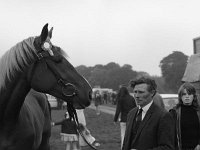 Ballinrobe Show - Lyons0003207.jpg  Ballinrobe Show. Josie Gavin, Westport with his prize winning mare. : Ballinrobe Show, Gavin