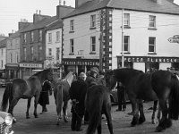 Horse Fair in Westport - Lyons0003248.jpg  Horse Fair in Westport : Horse Fair