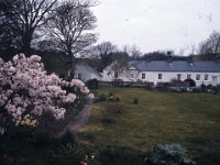 Mrs Powell's house in Newport - Lyons0003446.jpg  Mrs Powell's house in Newport : Newport, Powell