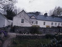 Mrs Powell's house in Newport - Lyons0003447.jpg  Mrs Powell's house in Newport : Newport, Powell