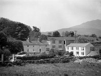 Flats in Wood Lodge Knappagh - Lyons0003737.jpg  Flats in Wood Lodge Knappagh : Knappagh