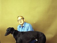 Mr Mc Donagh's hound - Lyons0003877.jpg  Mr McDonagh's hound : Greyhounds