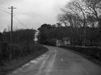 Road at Rosturk Abbey - Lyons0003905.jpg  Road at Rosturk Abbey : Rossturk abbey