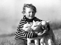 . Sean Kelly, Gortnaclasser, with triplet lambs - Lyons0004208.jpg  . Sean Kelly, Gortnaclasser, with triplet lambs : Kelly, Lambs