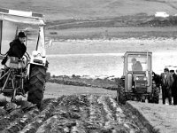 Ploughing demonstrations - Lyons0004212.jpg  By Sherrards of Cork on Liam Ryder's farm, Carrowholly. : Ploughing, Ryder