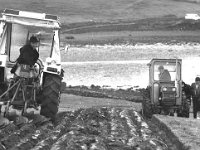 Ploughing demonstrations - Lyons0004216.jpg  By Sherrards od Cork on Liam Ryder's farm, Carrowholly.    Ploughing on Liam Ryder's farm. By Sherrards od Cork on Liam Ryder's farm, Carrowholly.  Ploughing on Liam Ryder's farm. : Ploughing, Ryder