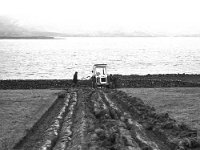 Ploughing demonstrations - Lyons0004220.jpg  By Sherrards od Cork on Liam Ryder's farm, Carrowholly. : Ploughing, Ryder