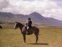 Alan Daly at Lough Mask Stud - Lyons0004506.jpg  Alan Daly at Lough Mask Stud : Daly