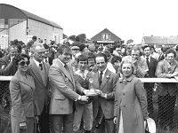 Ballinrobe Races - Lyons0004696.jpg  Ballinrobe Races : Ballinrobe Races