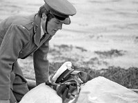 Order of Malta at work, 1968. - Lyons00-20974.jpg  Lighthouse keeper William Jeffers being brought back to his house on Inish Gort after he became ill in hospital. : 19680323 Order of Malta at work 5.tif, Lyons collection, Order of Malta