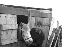 Irish Times photo, 1981. - Lyons00-21571.jpg  Irish Times journalist Michael Viney on his self-sufficent farm Killaghadoon, Louisburgh. Michael Viney with his daughter's pony. : 19810124 Michael Viney 2.tif, Irish Times, Lyons collection
