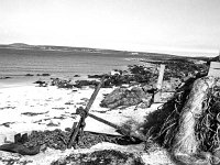 Irish Times photo, 1984 - Lyons00-21592.jpg  Fisherman's equipment  near Belmullet. : 198407 North Mayo 10.tif, Irish Times, Lyons collection