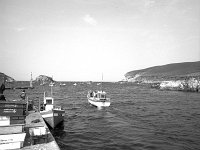 Irish Times photo, 1984 - Lyons00-21602.jpg  A North Mayo harbour showing the many fishing boats in the area. : 198407 North Mayo 2.tif, Irish Times, Lyons collection